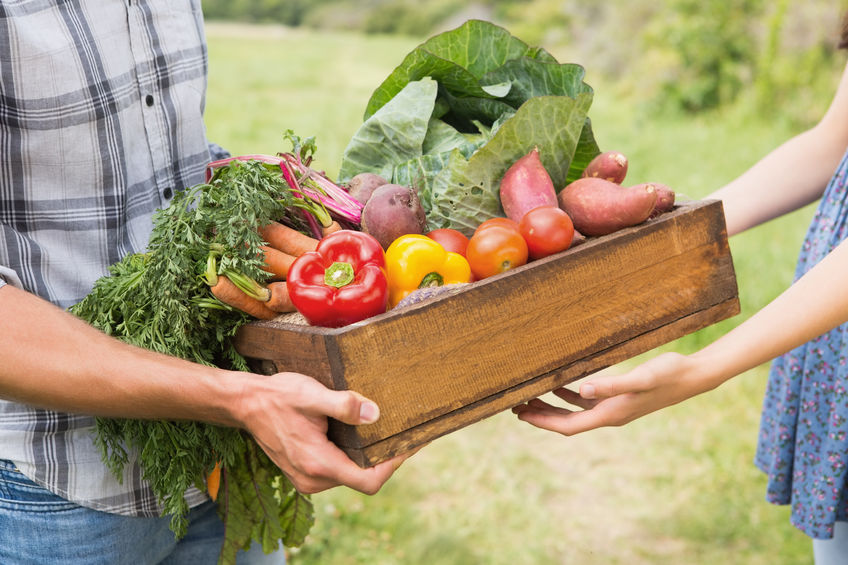 give-farmer-giving-box-of-vegetables-123rf.jpg