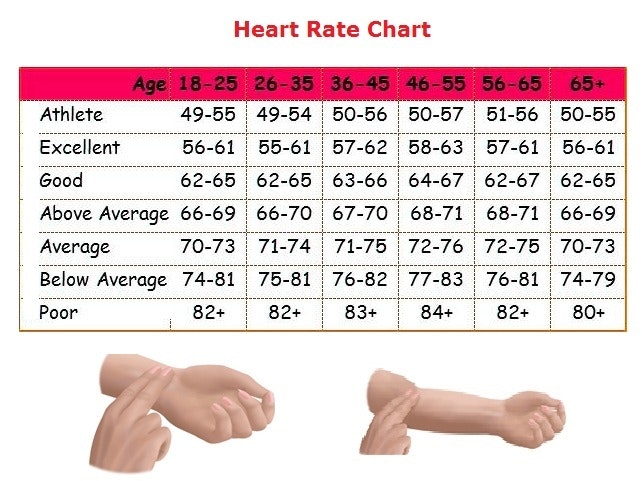 Average Resting Heart Rate Chart Ready Likeness Notices Normal 
