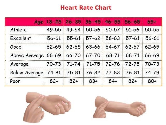 Men S Pulse Rate Chart