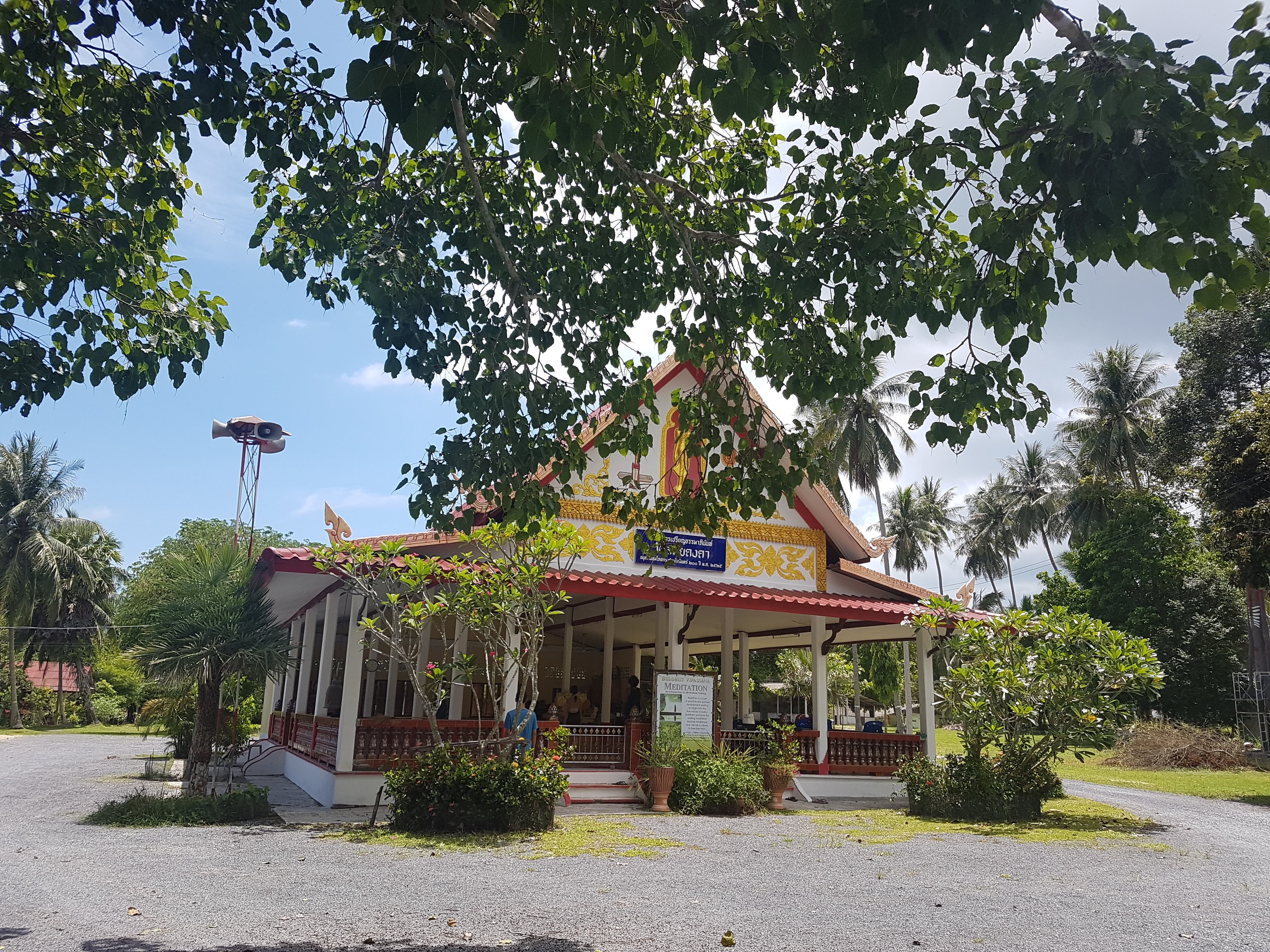 20180516_123930.jpg