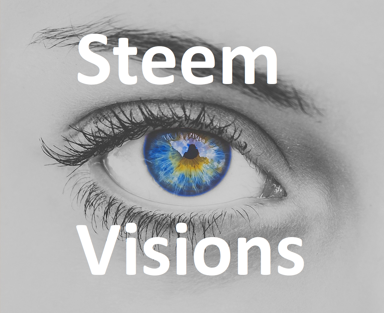 Steem Visions.png