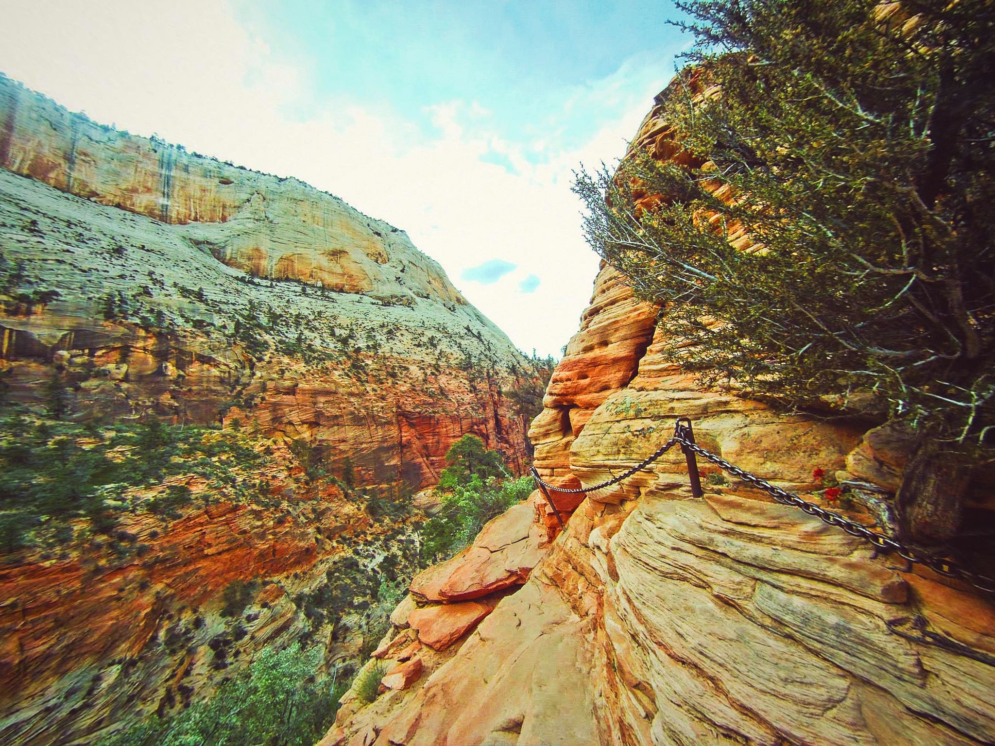 Angels landing.jpg