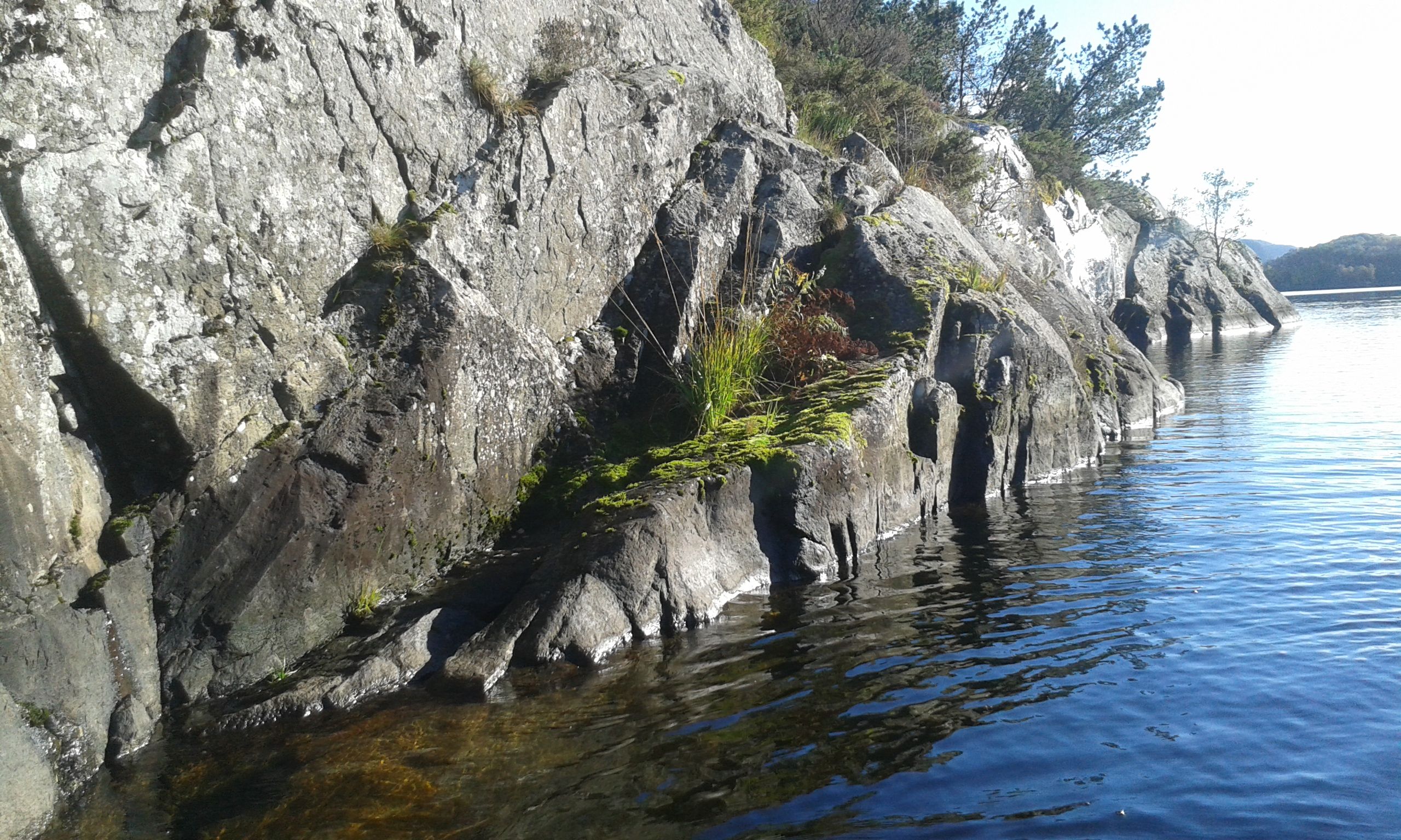 20141005_154842.jpg