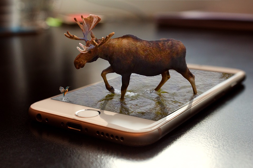 iphone-moose-pixabay.jpg
