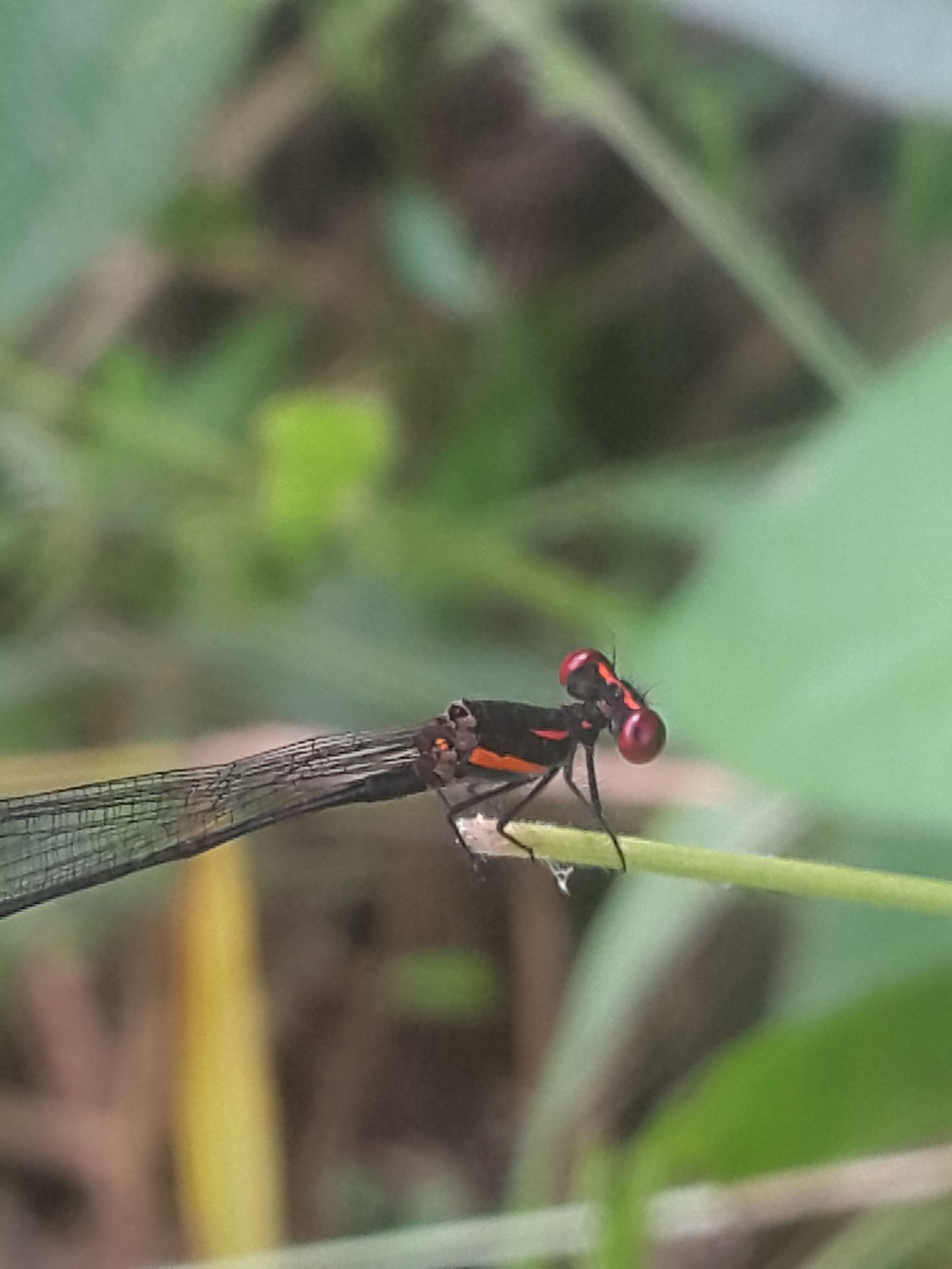 20180516_141542.jpg