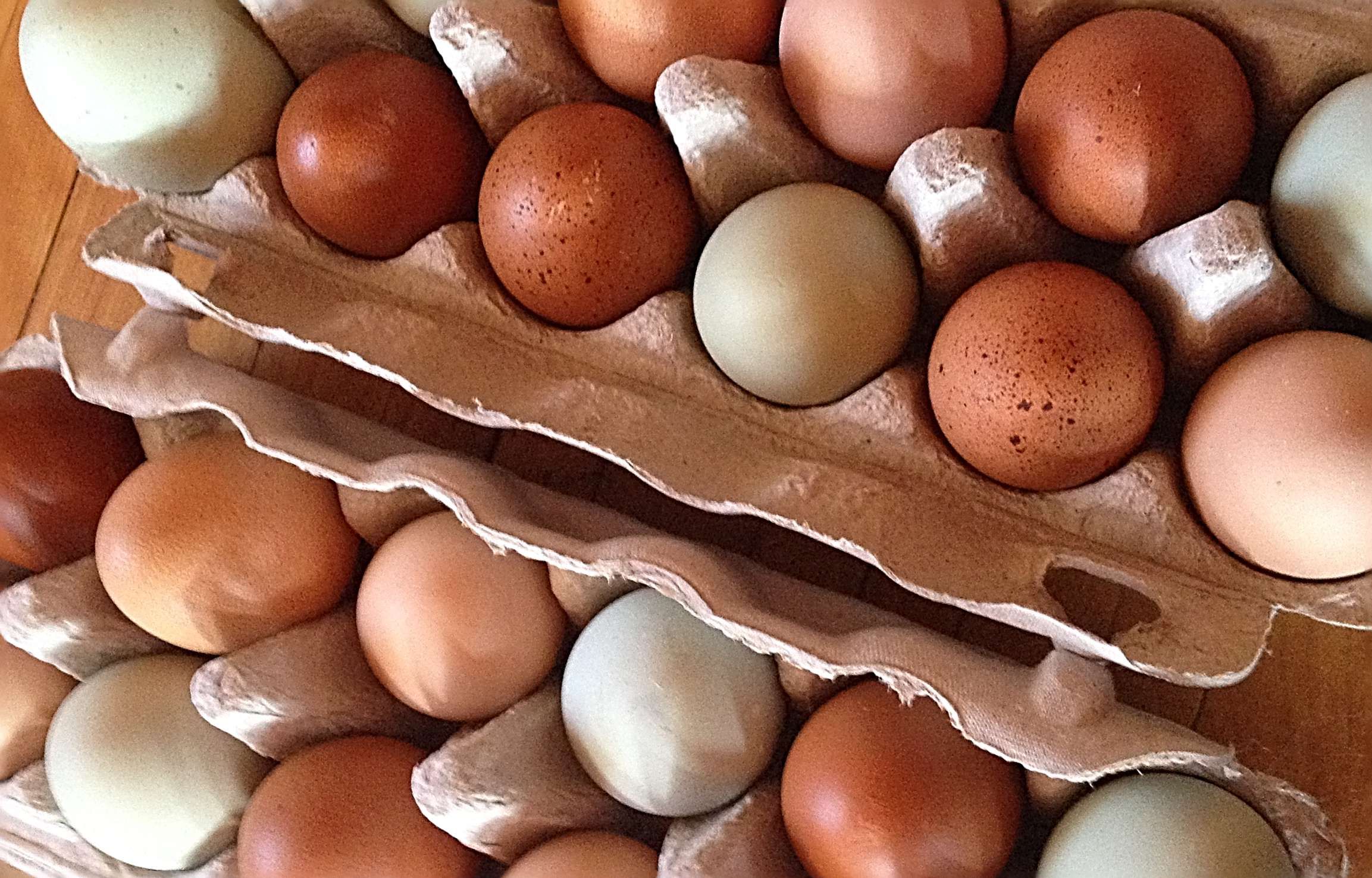 Storing and Preserving Chicken Eggs