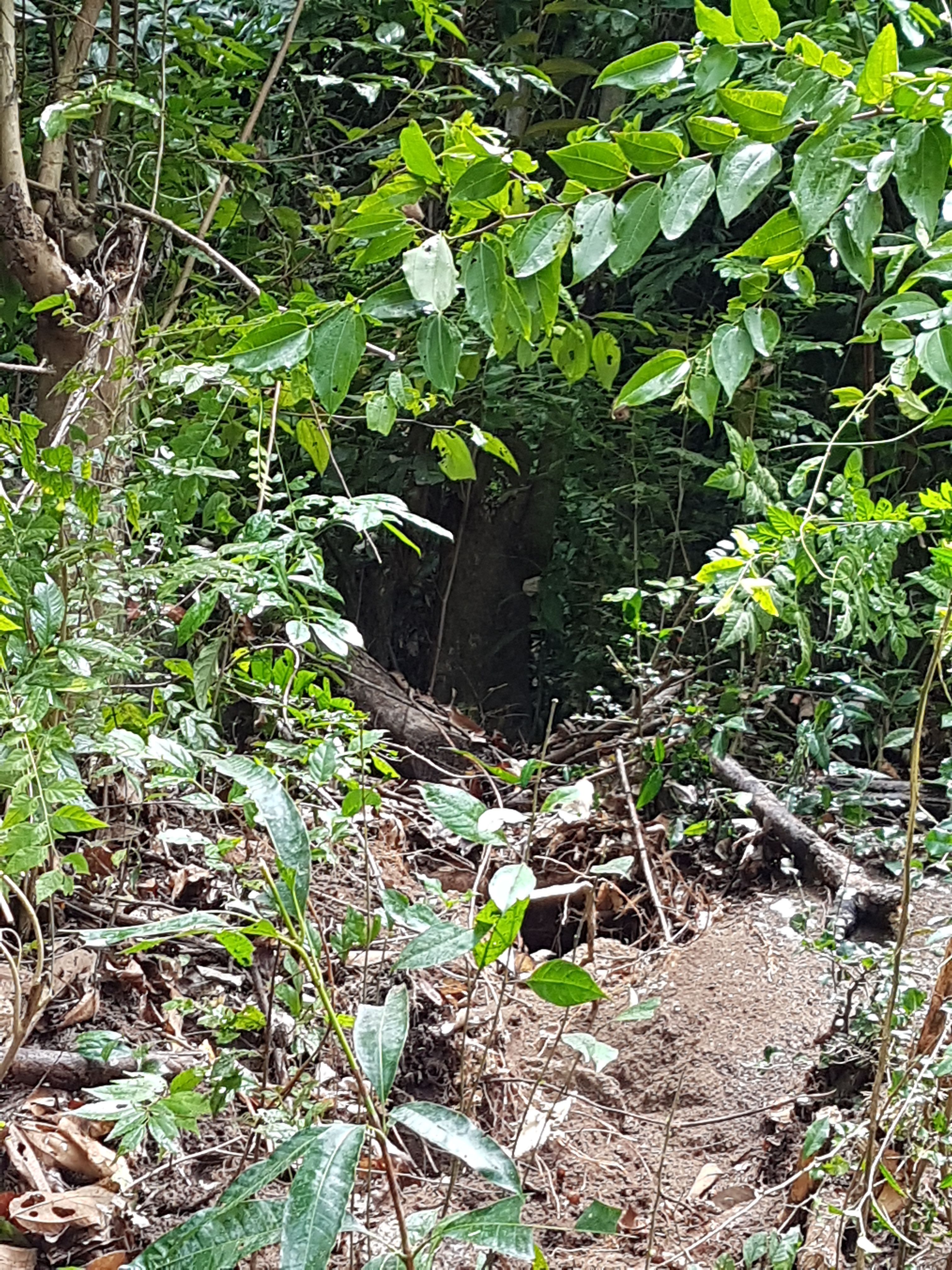 20170913_120859.jpg