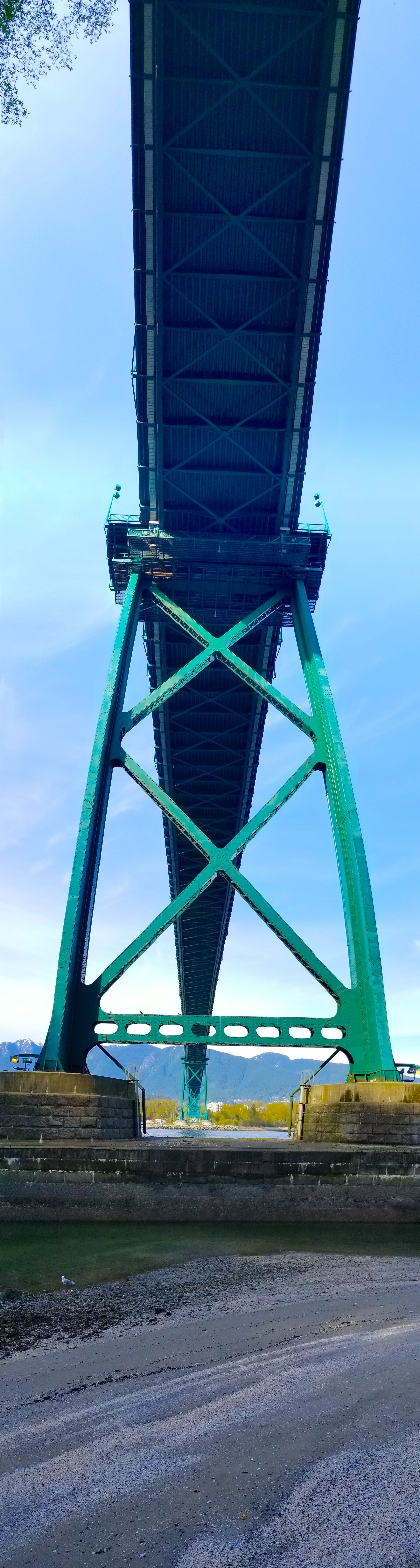 20180424_170439.jpg