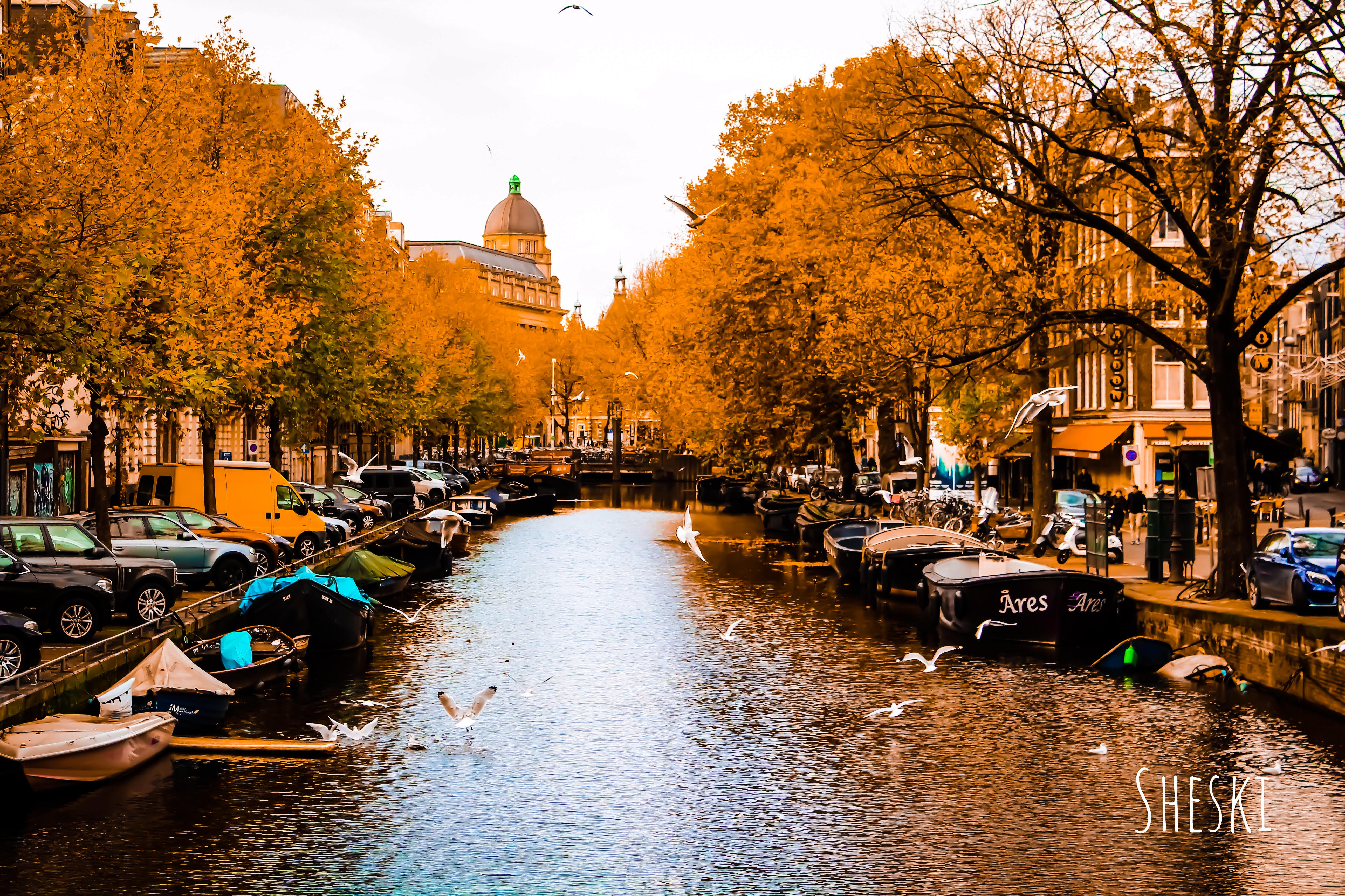 Amsterdam- Netherlands-ChrisJaniszewski-photo1.jpg