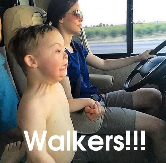walkers.jpg