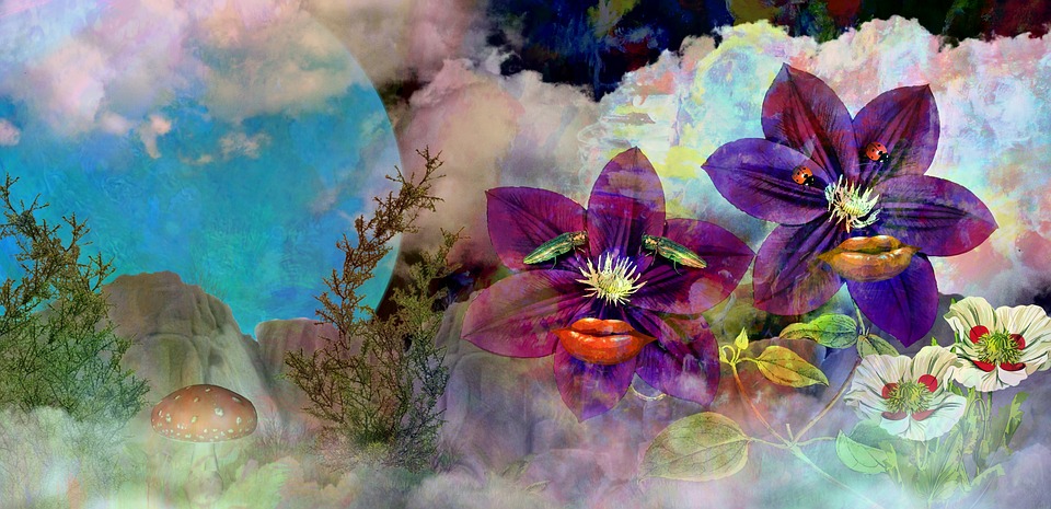 trippy-1496126_960_720.jpg