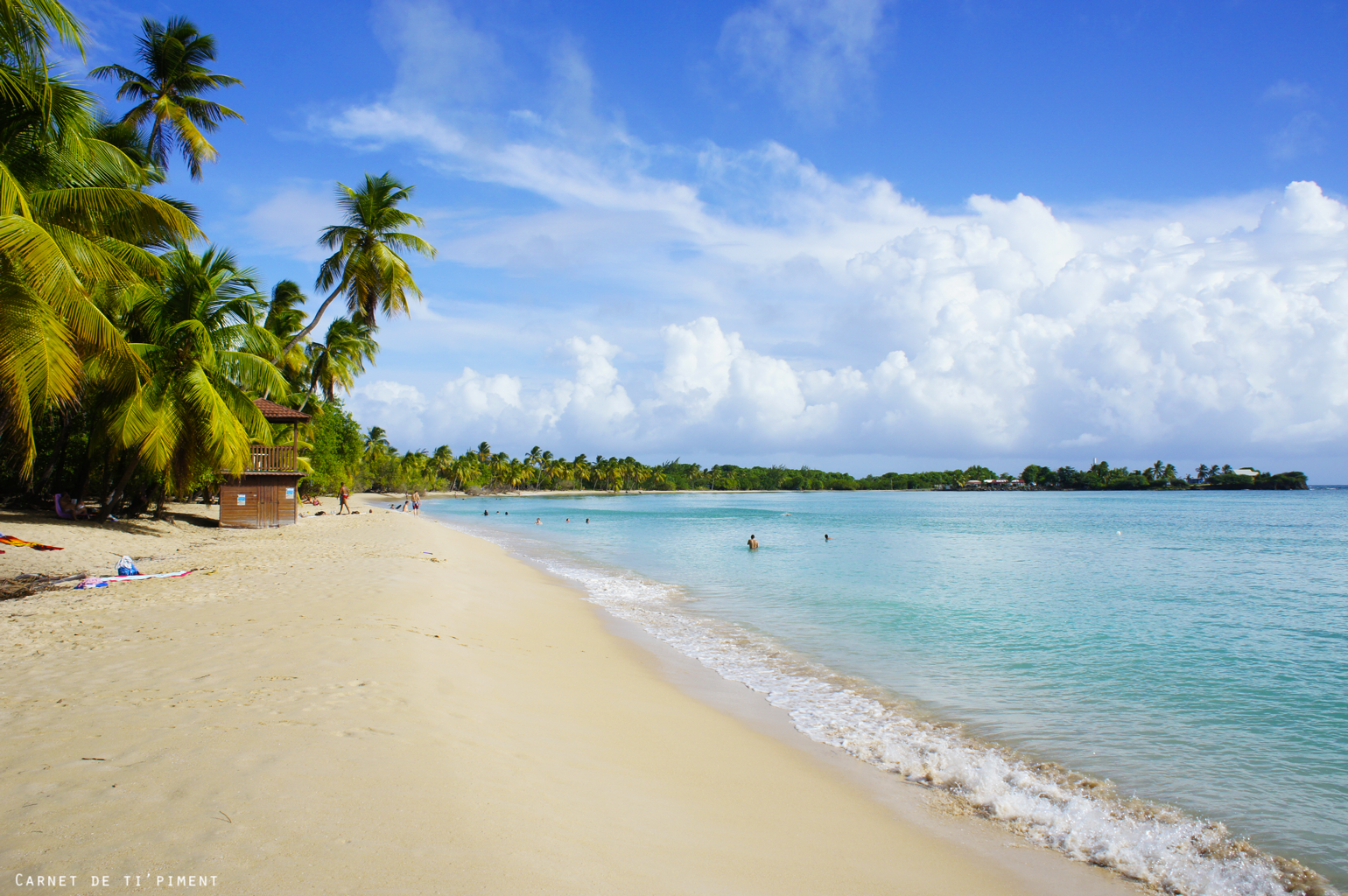 Les Salines - Sainte Anne - Martinique 1.png