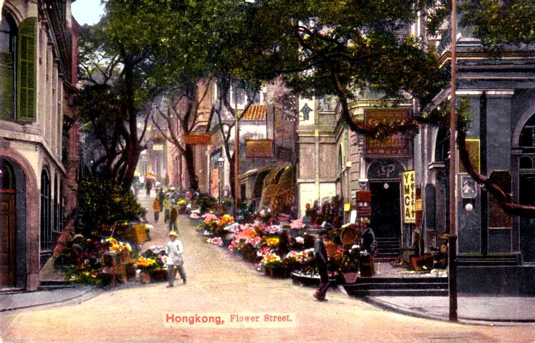 HKFlowerStc_1920.JPG