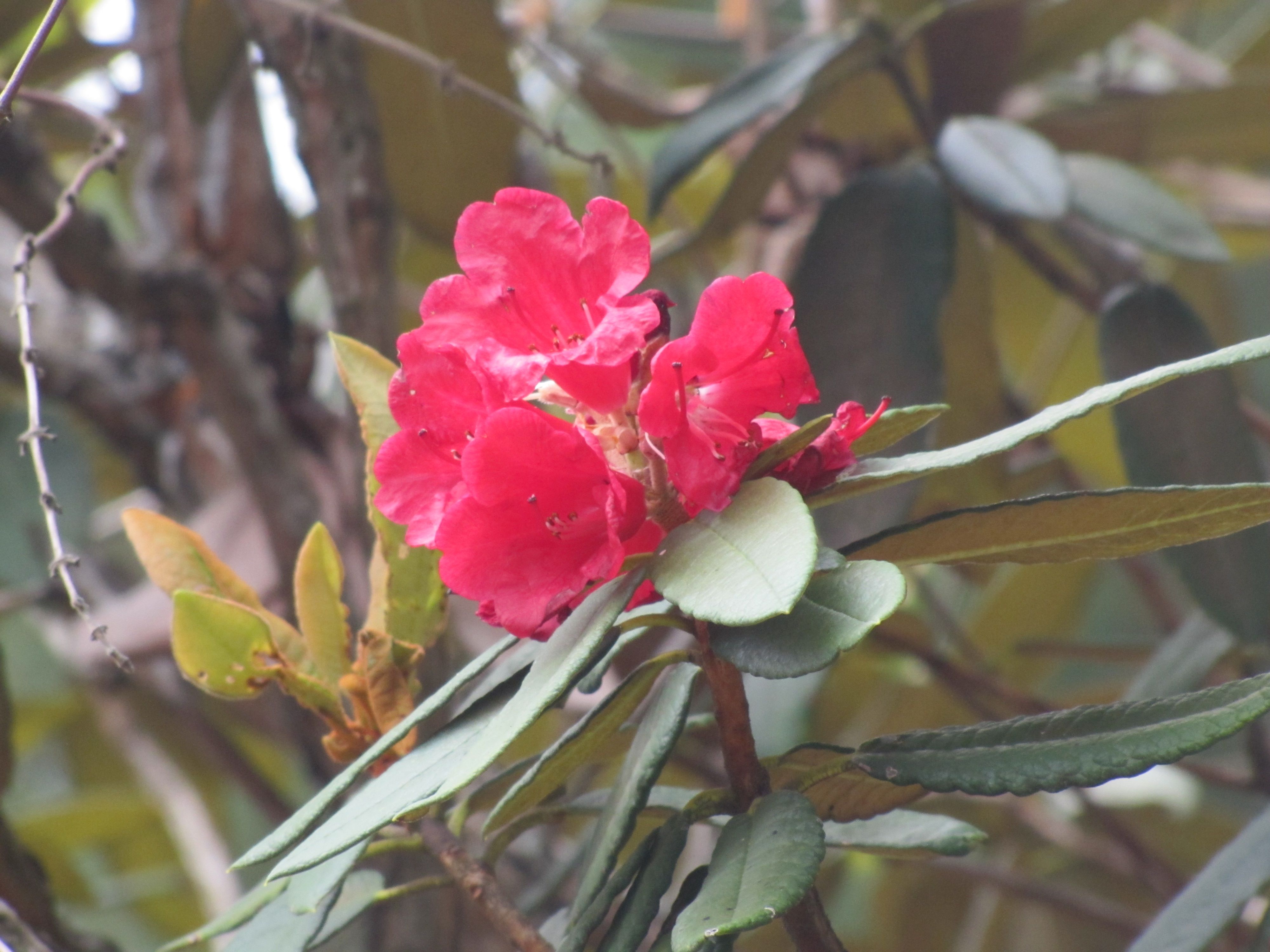 south trip 2013 625.jpg