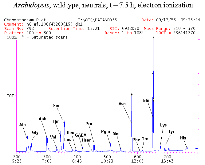 Slide11.GIF