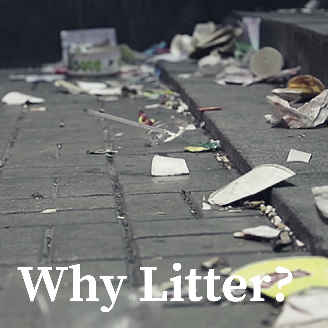 Why Litter_.png