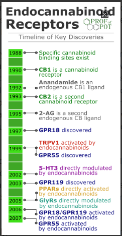 timeline discovery cannabinoid receptors.PNG