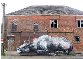 roa.JPG