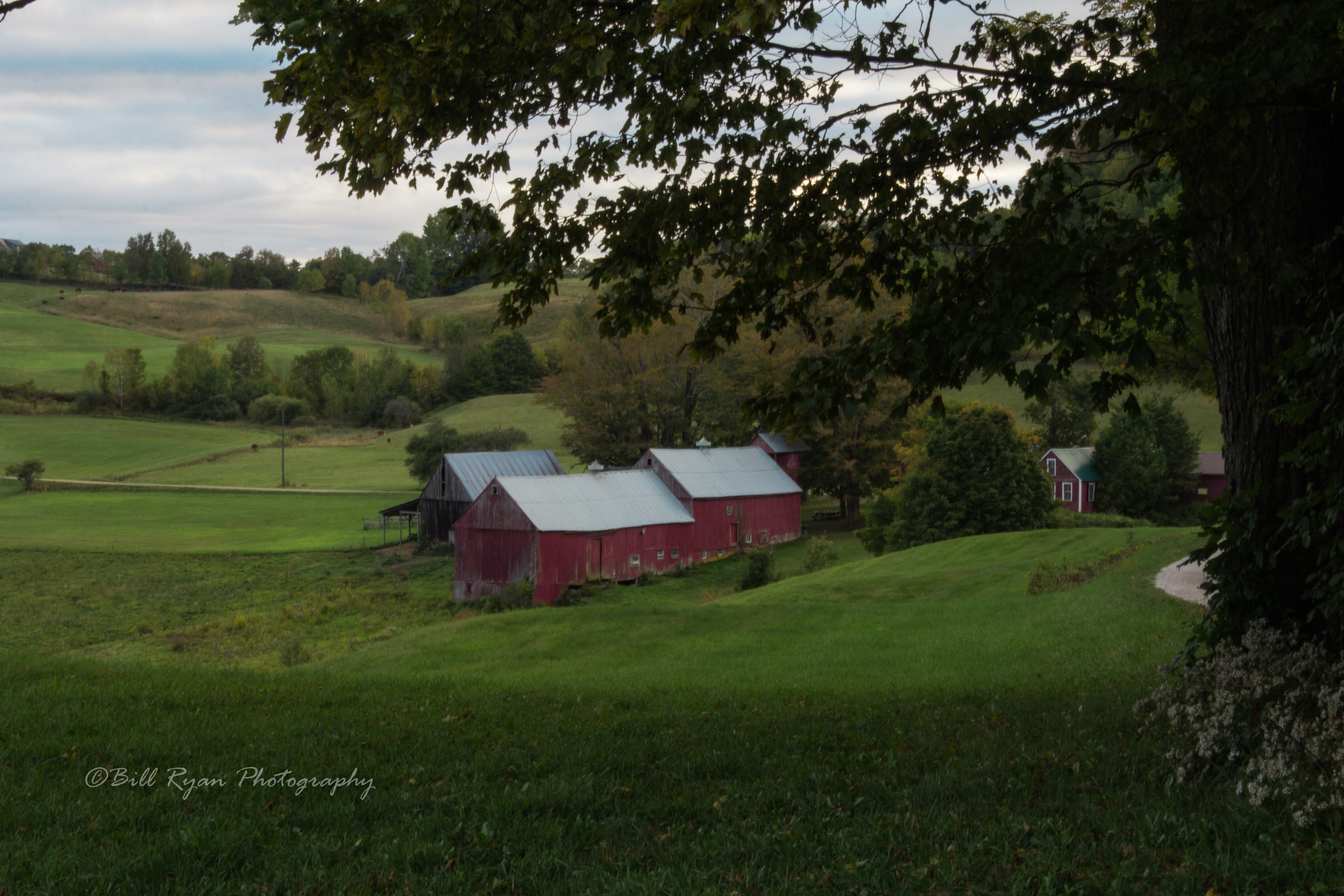 Jenne Farm in early Fall_.jpg