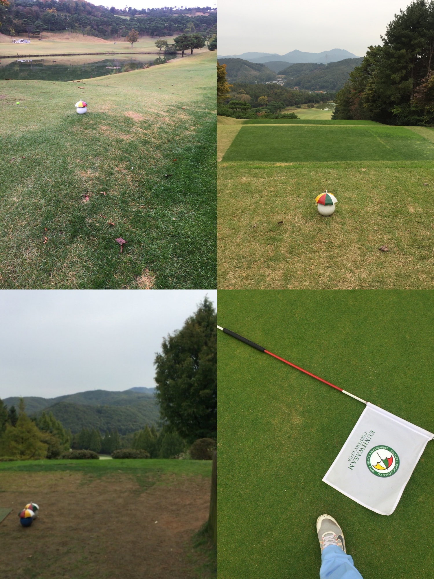 KakaoTalk_2017-10-26-09-08-49_Photo_77-tile.jpg