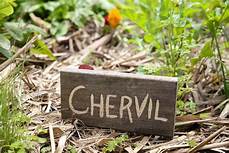 herbs chervil sign appreciategoods.jpg