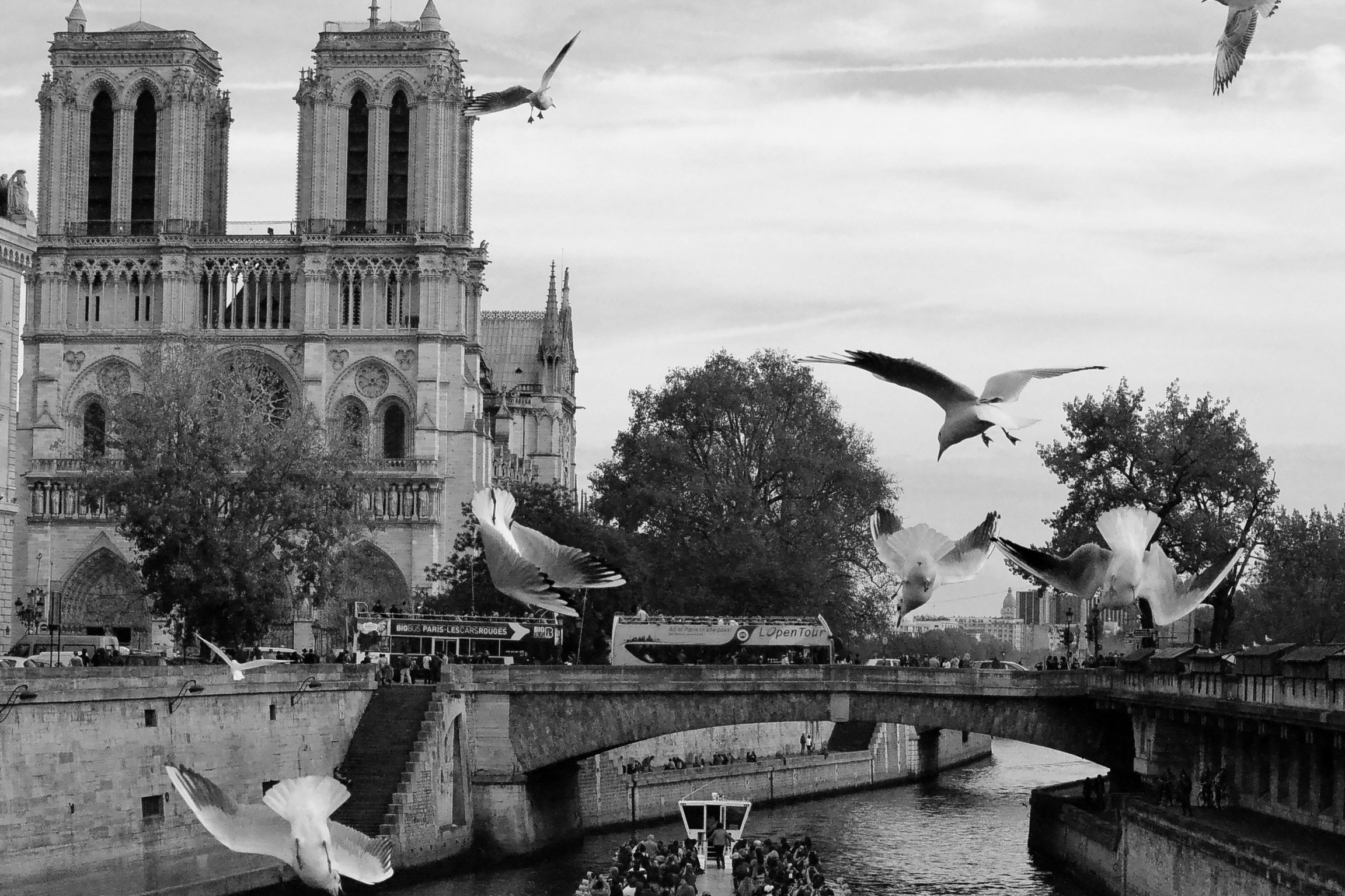 Untitled design (1).jpg