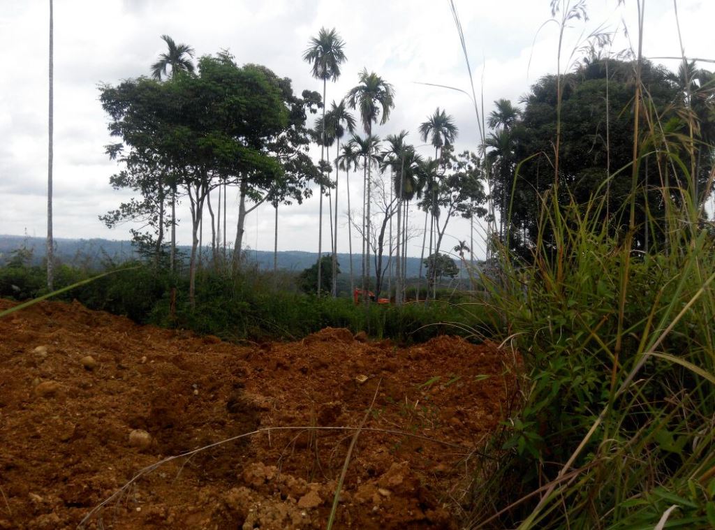 Aktifitas galian batu gajah di lokas desa Riseh Tunong Dusun Blang Ranto Kec. sawang.jpg