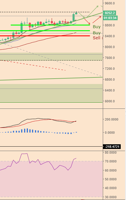 BTCPriceScenarios_240418DivConv.PNG