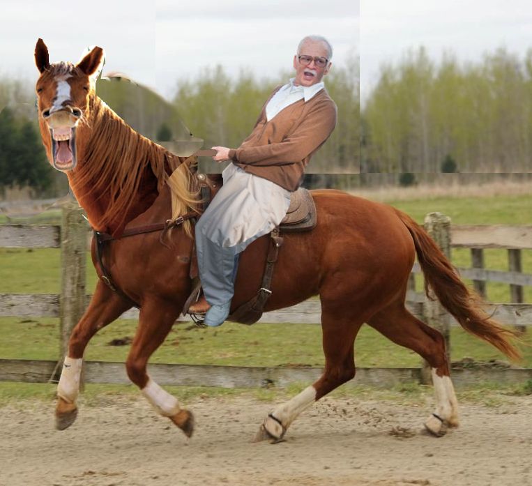 Наездник видео. Фанни Хорс. Ride a Horse. Ридинги. Horse riding Challenge.