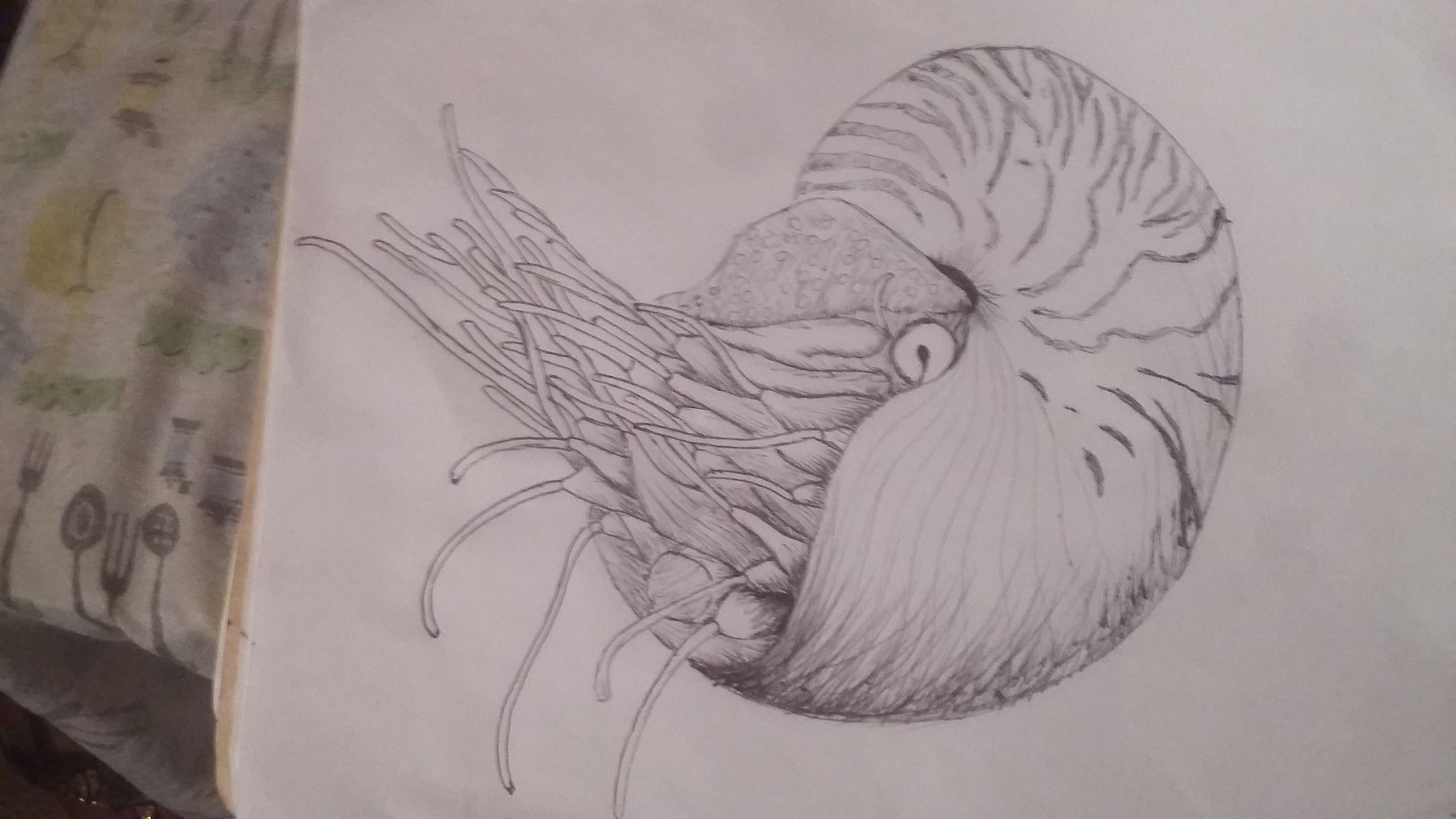 20171007_204515.jpg
