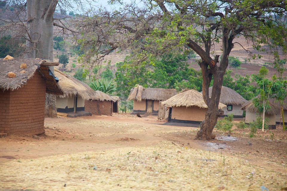 Homes-Mud-Thatched-Malawi-Huts-Africa-Village-80853.jpg