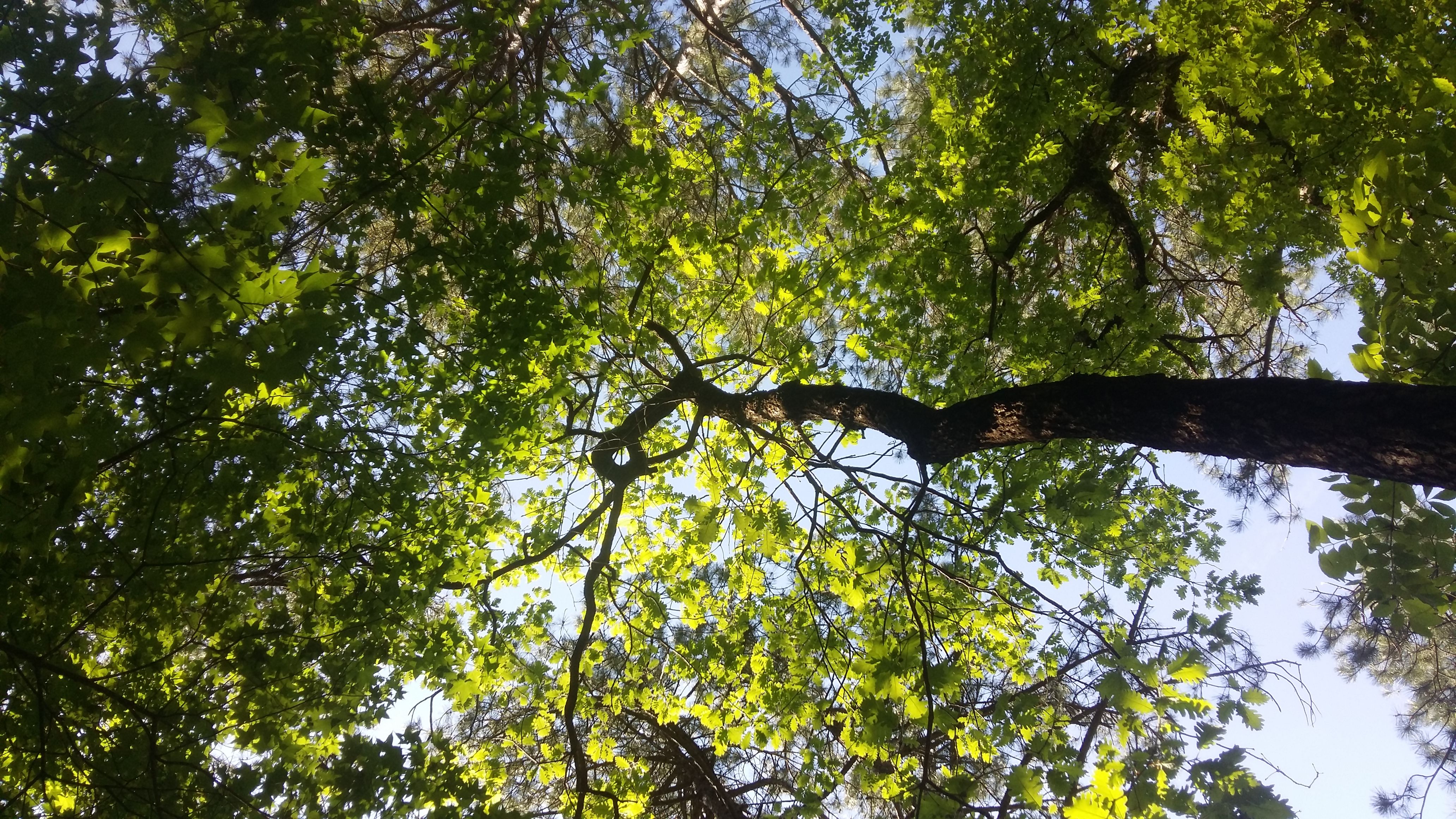 20180502_152752.jpg