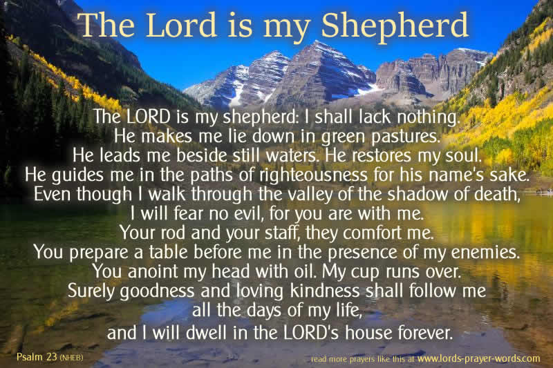 The Lord is my Shepherd — Steemit