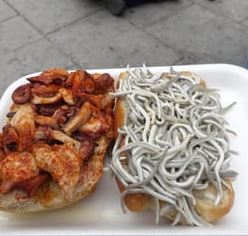 octopus.JPG
