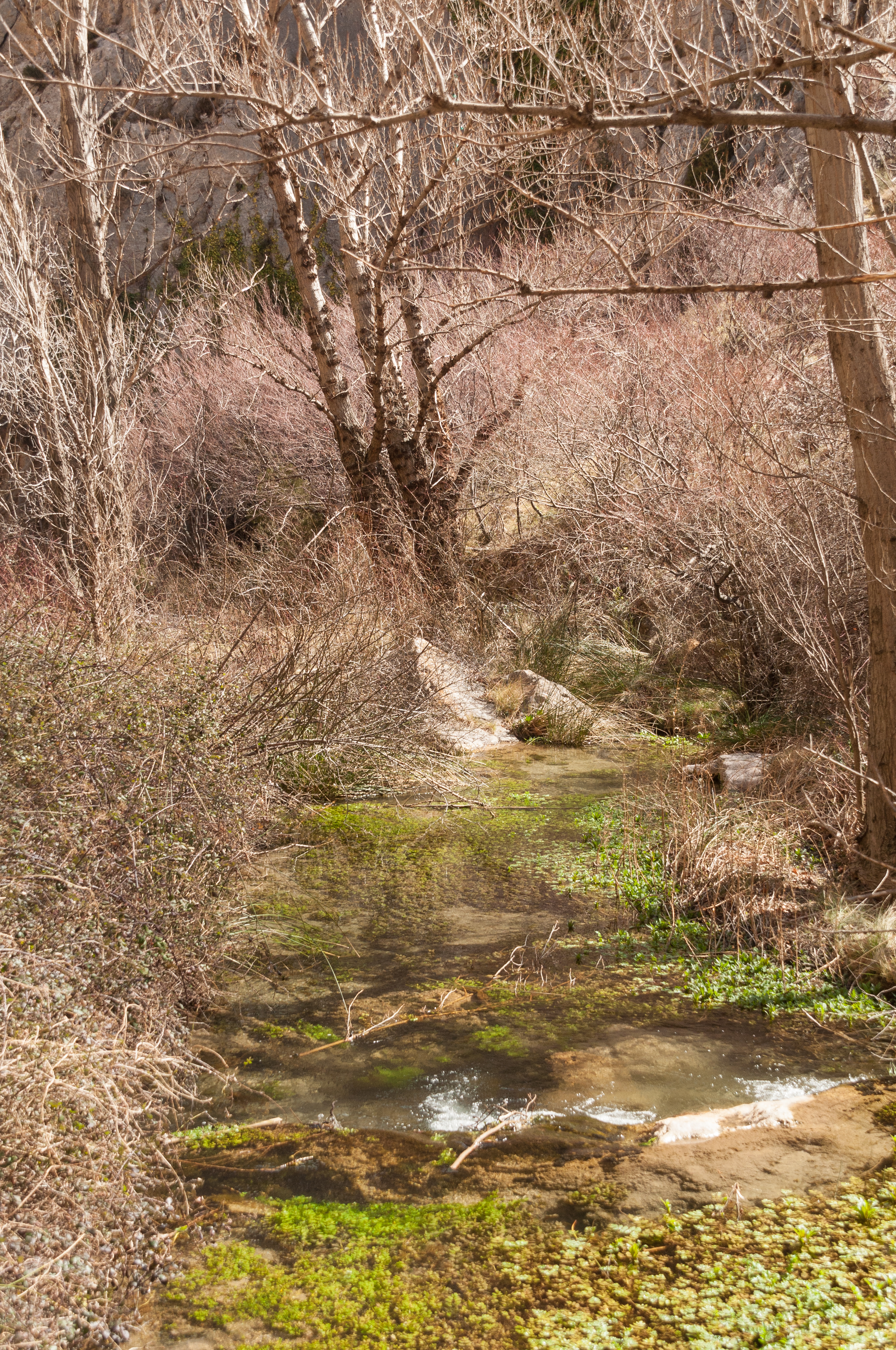 Excursión Martín del Río (73).jpg