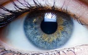 Corneal Transplant.jpg
