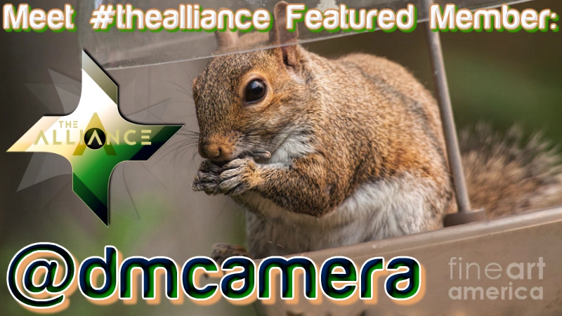 dmcameraheader.jpg