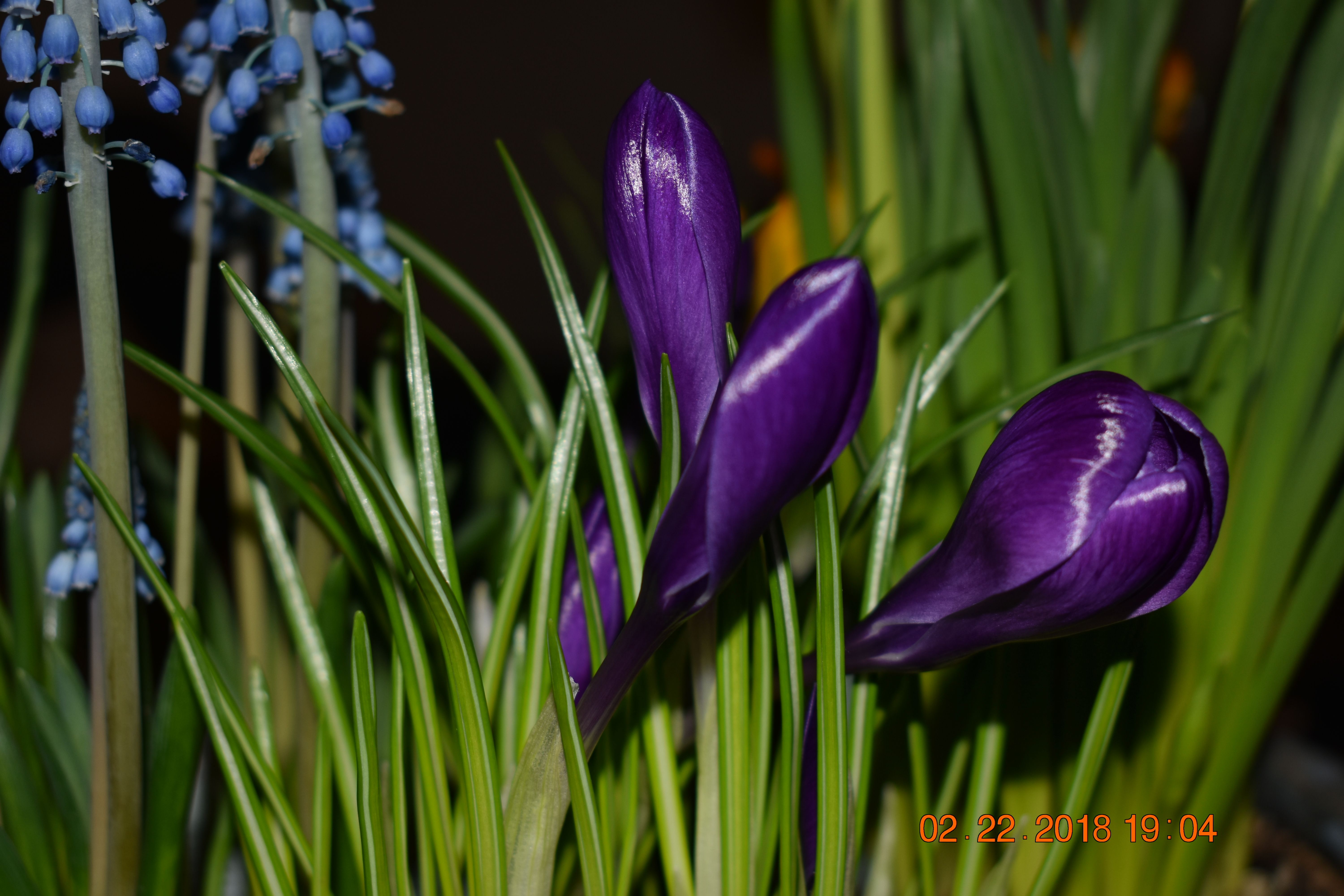 DSC_0560.JPG