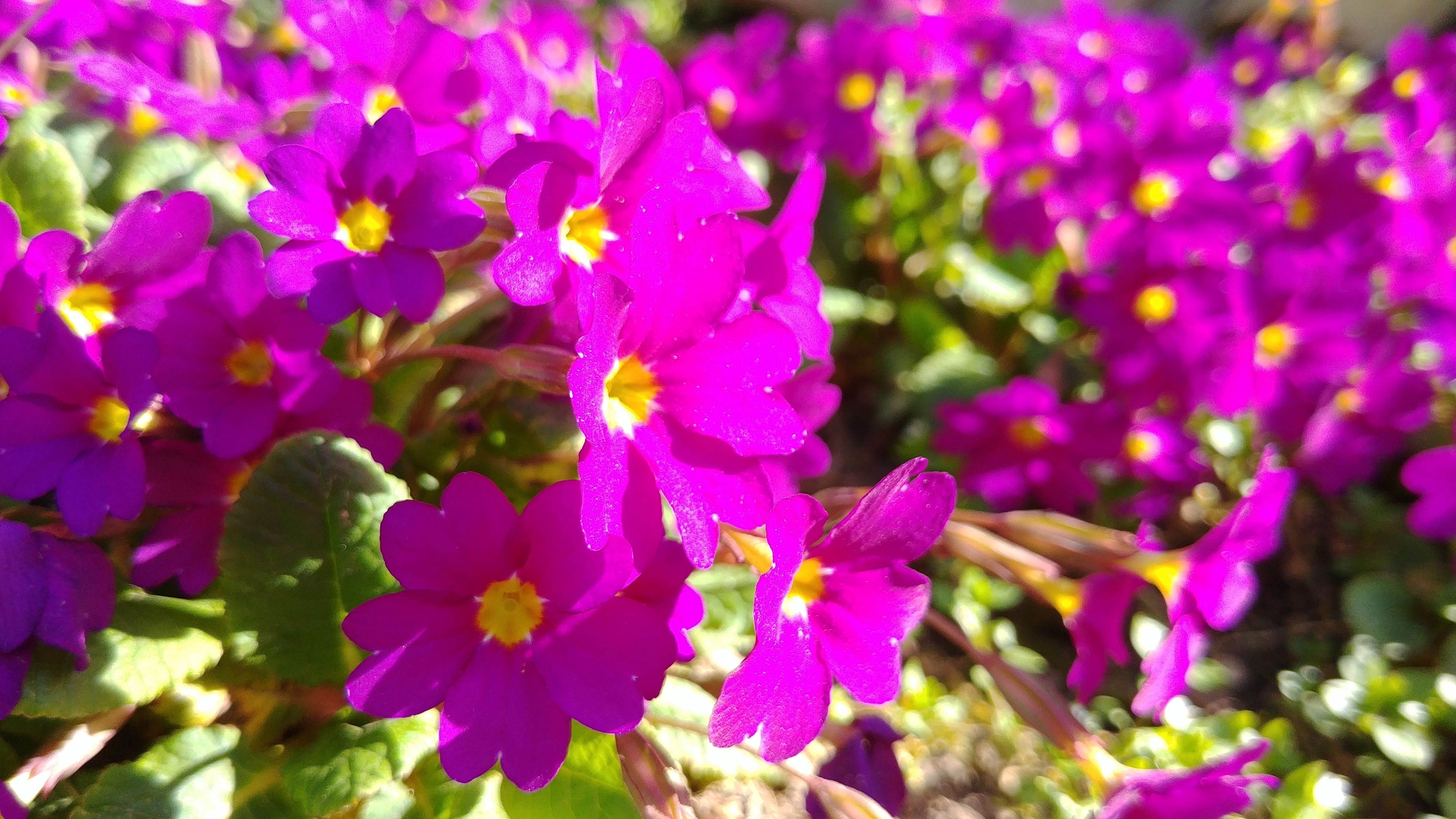 20180410_163759.jpg