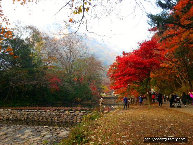 2012-11-09 16.36.23.jpg
