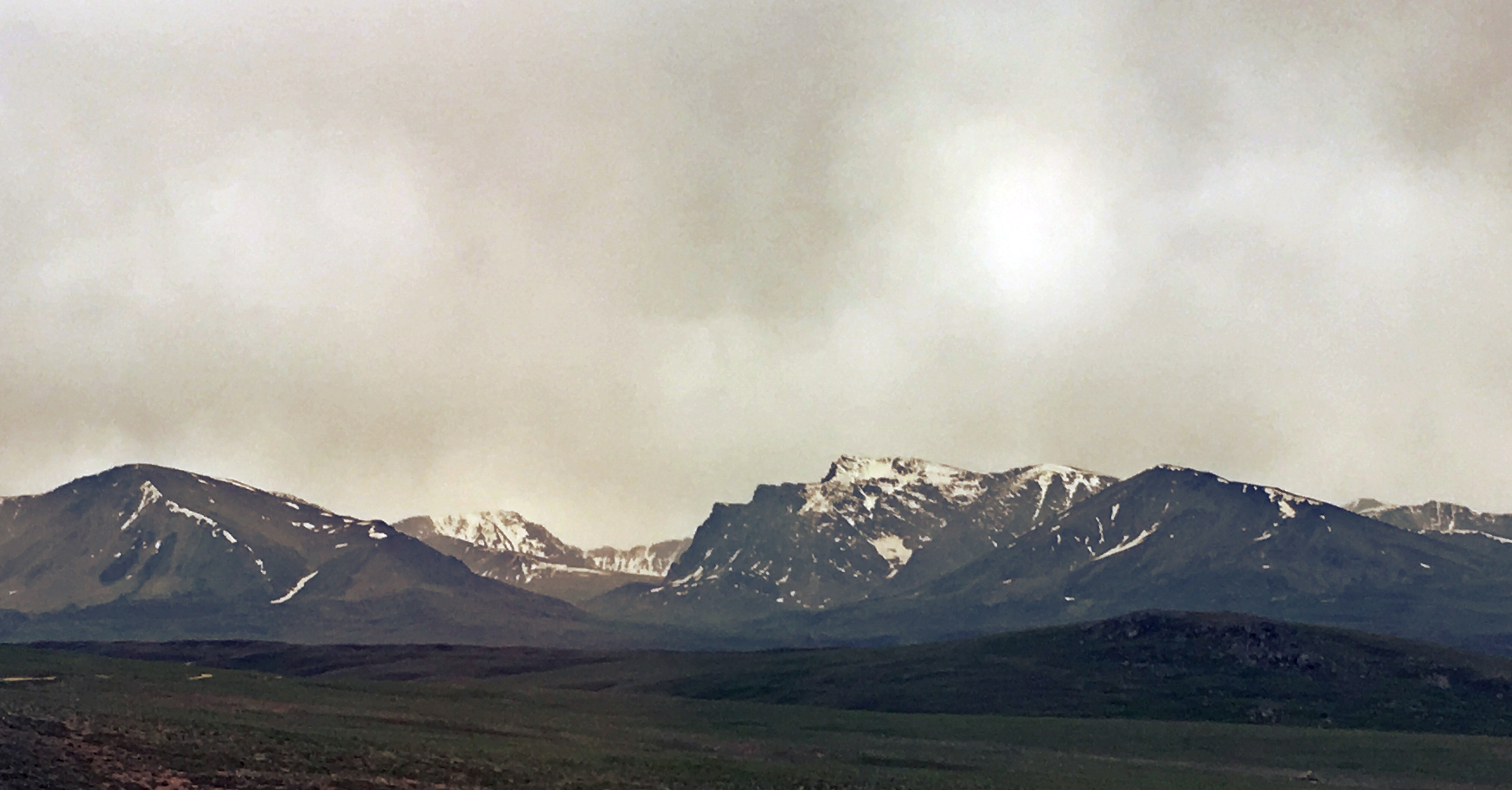 IMG_8774.JPG