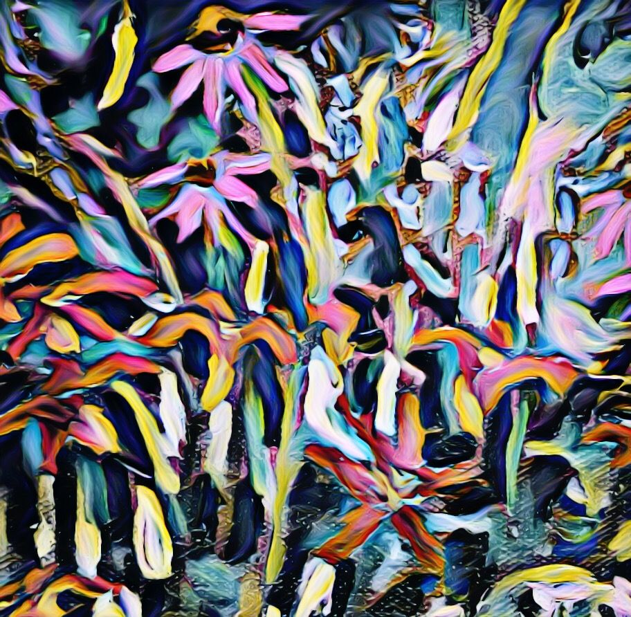 775C5507-A0B0-477D-A5E7-0530BA64ADB8.jpeg