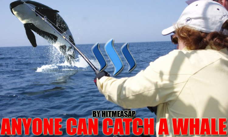 Stop Your Attempts To Reel In Whales. - Good Bait Will Help You To ...