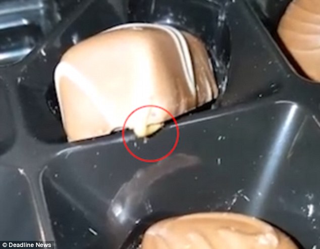A Wiggling Maggot Is Found In A Morrisons Box Of Chocolates Steemit