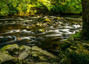 River Dart 1.jpg