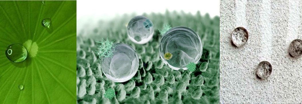 WhatsApp Image 2018-03-06 at 22.13.28 (1).jpeg