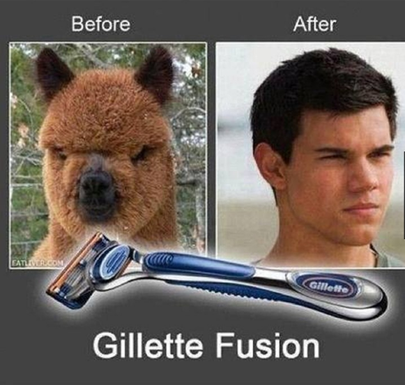 Meme gillette.PNG