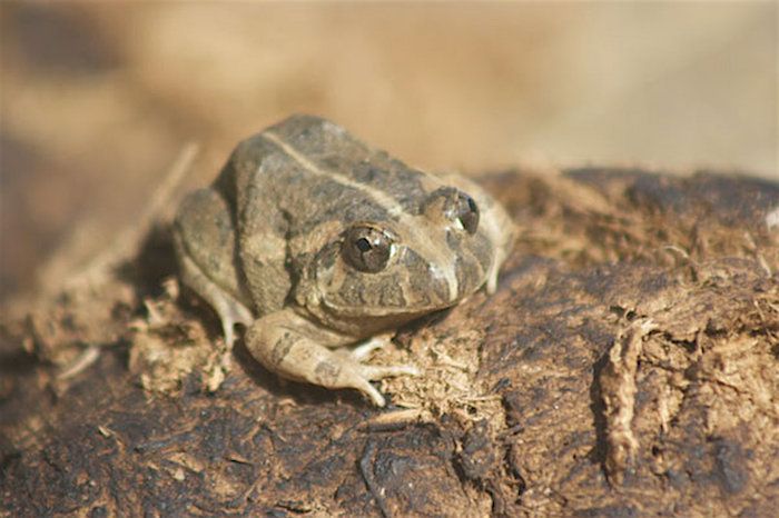 joemonster.org embedded (8).jpeg