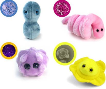 plush microbes.JPG