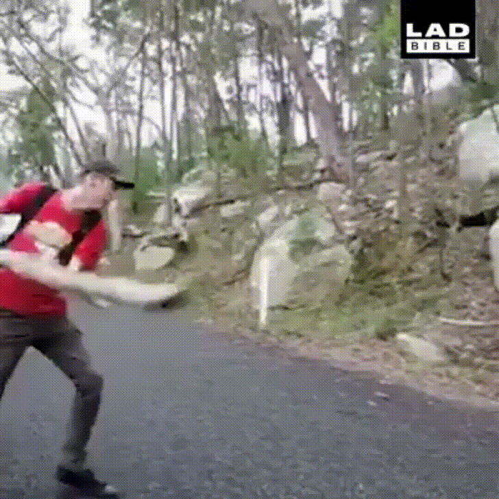 Good Samaritan becomes special after he clears the road of a broken branch - Imgur.gif